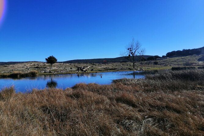Day Trip from Fez to Middle Atlas Mountains, Cedar Forest & Azrou - What Reviewers Love Most