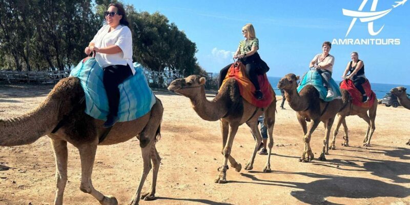 Day trip from Gibraltar to Morocco All Inclusive - From Gibraltar to Tangier: An Overview of the Experience  