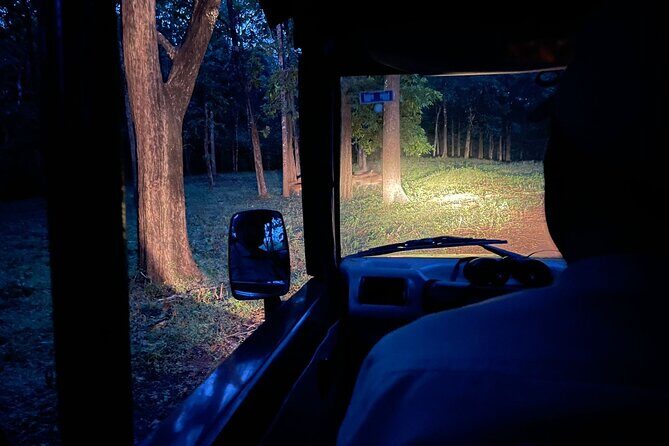 Day Trip from Goa to Anshi National Park (Kali Tiger Reserve) - Key Points