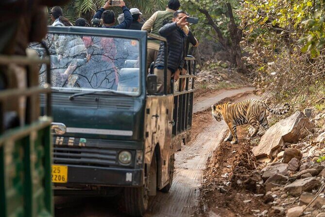 Day Trip from Jaipur to Ranthambore with Tiger Safari - Final Thoughts