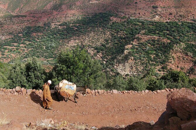 Day trip from Marrakech to Ait Ben Haddou and Ouarzazate - The Itinerary: What to Expect at Each Stop