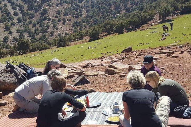 Day trip from Marrakech to atlas mountains & Berber village hike - Who Should Consider This Tour?
