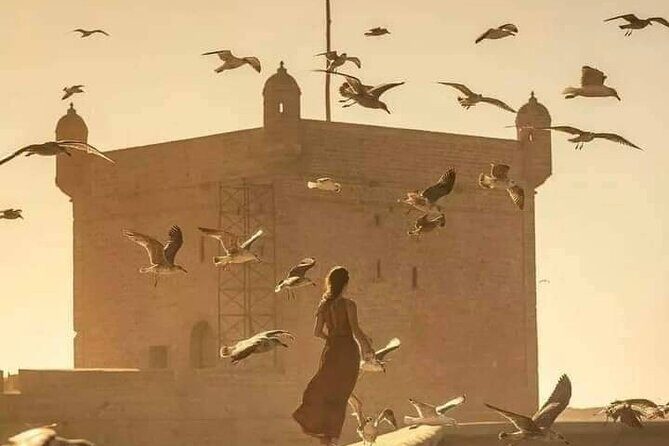 Day Trip from Marrakech to Essaouira - Returning to Marrakech