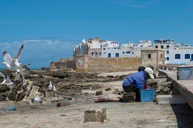 Day trip from marrakech to Essaouira Medina and Argan Factory - The Return Journey