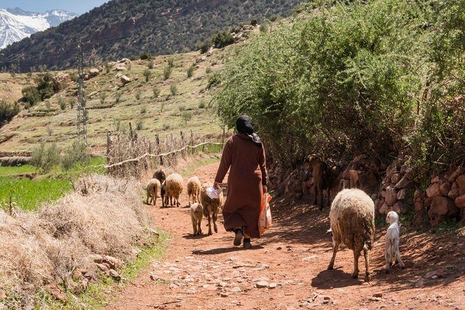 Day trip from Marrakech to Ouzoud waterfalls and berber villages - Discovering the Waterfalls