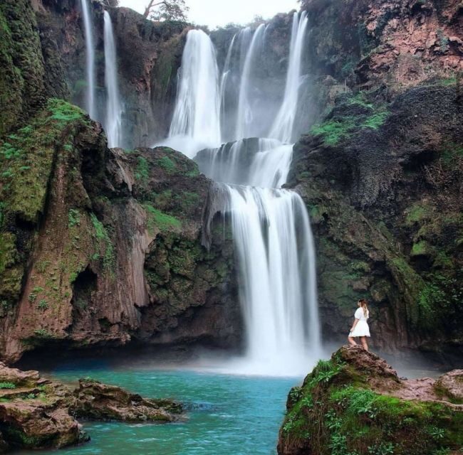 Day trip from Marrakech to Ouzoud Waterfalls - An overview of the experience