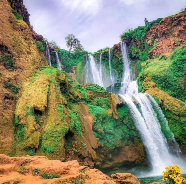 Day trip from Marrakech to Ouzoud Waterfalls - Authentic reviews and insights