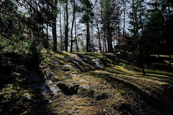 day-trip-from-milan-cave-paintings-in-the-enchanting-val-camonica