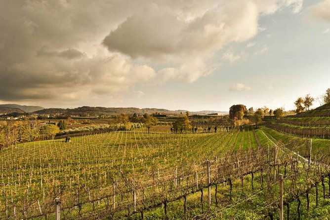 day-trip-from-milan-franciacorta-a-paradise-for-wine-lovers-private-tour