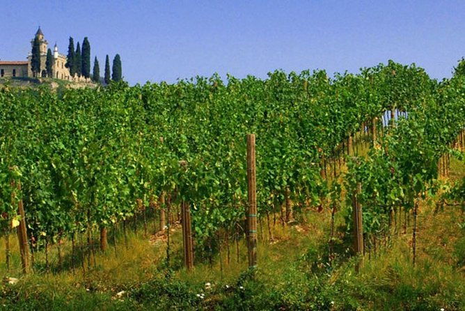 day-trip-from-milan-franciacorta-a-paradise-for-wine-lovers-private-tour