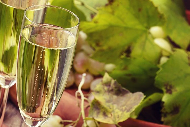 day-trip-from-milan-franciacorta-a-paradise-for-wine-lovers-private-tour