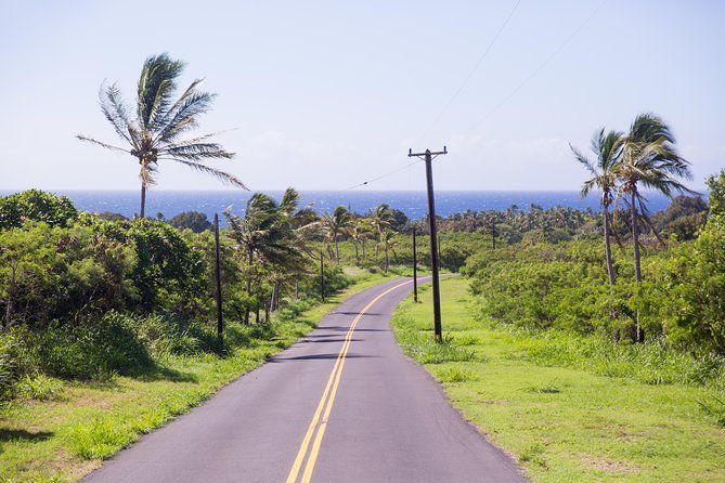 day-trip-from-oahu-to-hilo-volcano-adventure-2