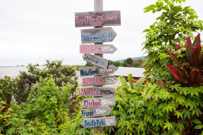 day-trip-from-oahu-to-hilo-volcano-adventure