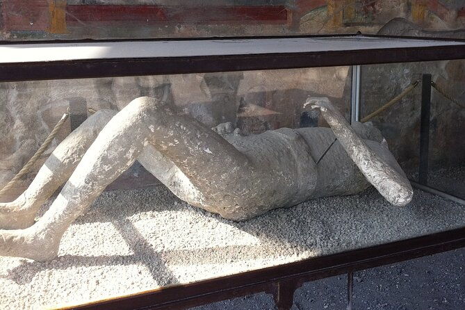 day-trip-from-rome-to-pompei-mt-vesuvius-local-guide-included