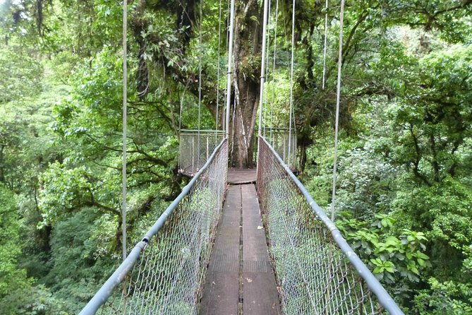 day-trip-from-san-jose-to-arenal-hanging-bridges-baldi-hot-springs-resort