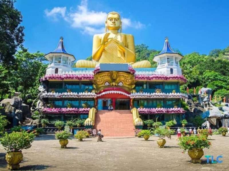 Day trip from Sigiriya to Dambulla - Exploring the Sigiriya to Dambulla Day Trip: An Authentic Sri Lankan Adventure