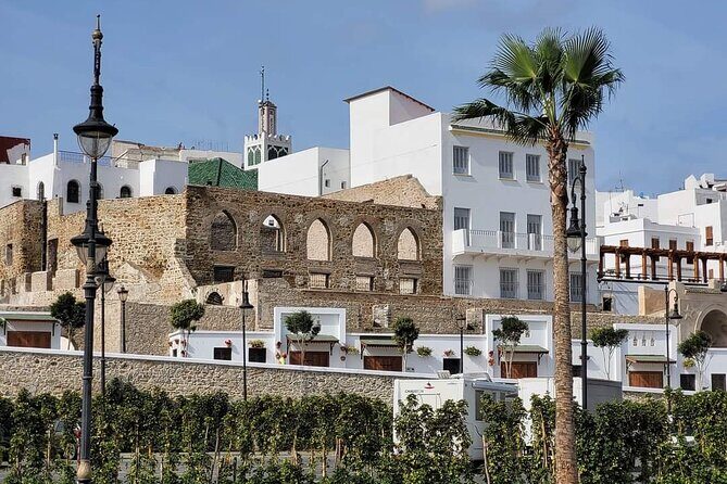 Day Trip From Tarifa To Tangier All Inclusive - The Sum Up