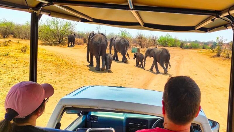 Day Trip from Victoria Falls: Chobe NP Land and River Safari - Additional Details