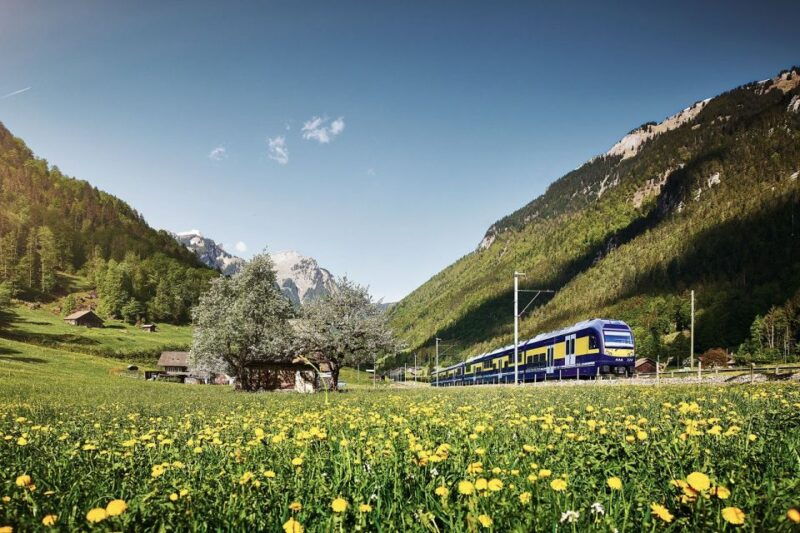 Day Trip from Zurich: Grindelwald First Mountain Adventure - Authentic Experiences as Reported by Travelers