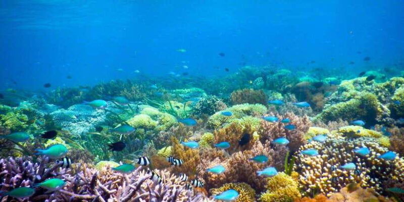 day-trip-gili-nanggukedissudak-with-pick-up