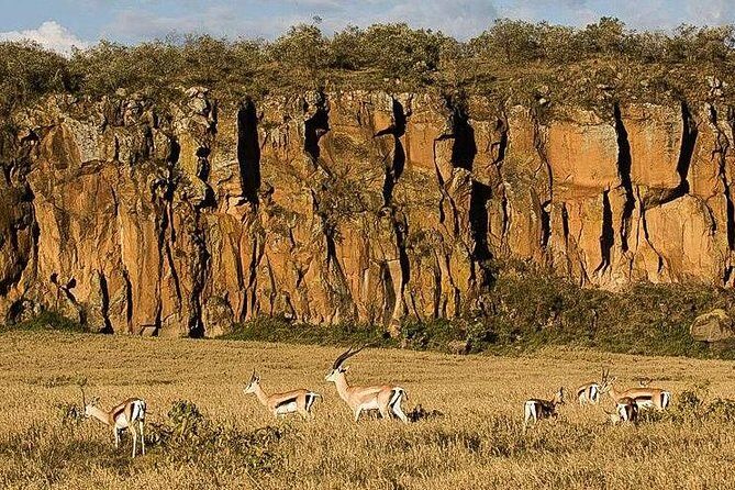 Day trip Hells gate Lake Naivasha best private safari - Frequently Asked Questions