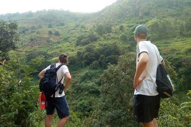 Day trip Hiking to Uluguru Mountains-Choma Waterfalls - The Sum Up: Who is This Tour Best Suited For?
