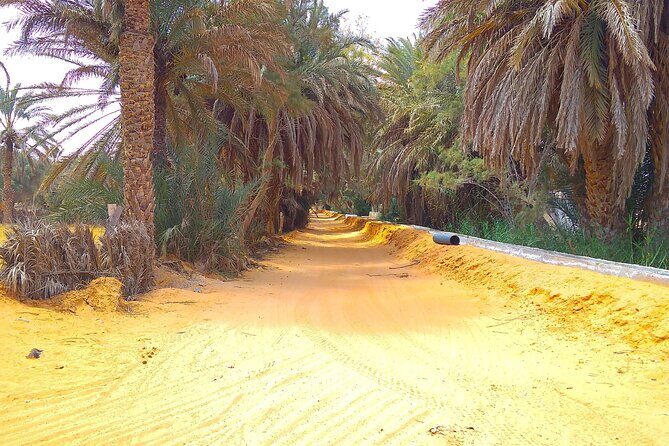 Day Trip in Ksar Ghilane with Lunch and Pickup - Key Points