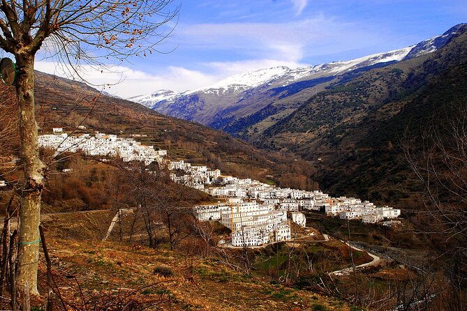 day-trip-in-trevelez-and-a-visit-to-ham-drying-factory