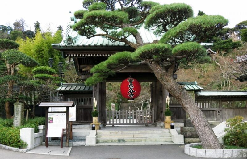 Day Trip Kamakura from Tokyo with National Licensed Guide - Who Will Love This Tour?