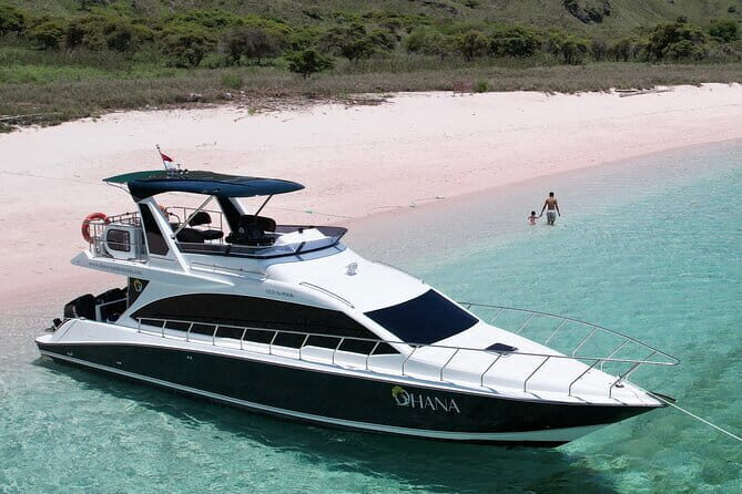 Day Trip Komodo Island With Speedboat in Labuhan Bajo - Introduction: A Full-Day Adventure to Komodo Island