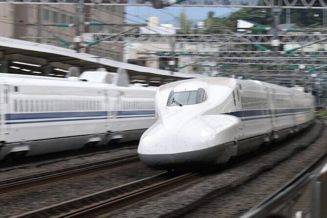 Day Trip Kyoto from Tokyo with a Licensed Guide by Bullet Train - A Practical Guide to the Kyoto Day Trip from Tokyo