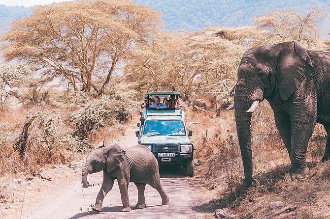 day trip lake manyara - An Honest Look at the Lake Manyara Day Trip