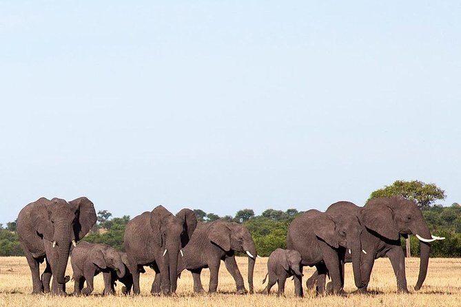 day trip lake manyara - Who Will Love This Tour?