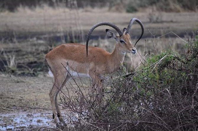 day trip lake manyara - The Sum Up