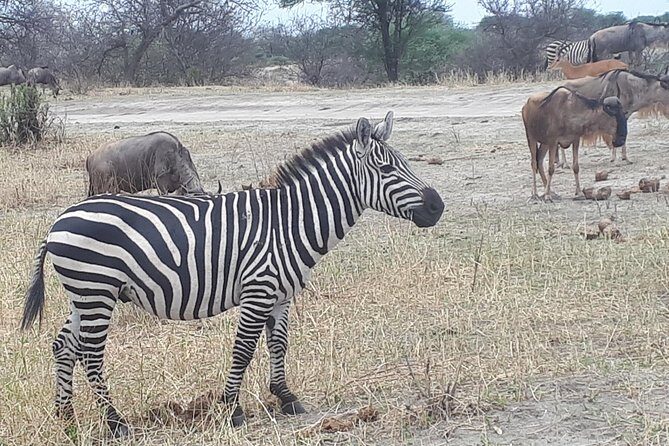 day trip lake manyara - FAQs