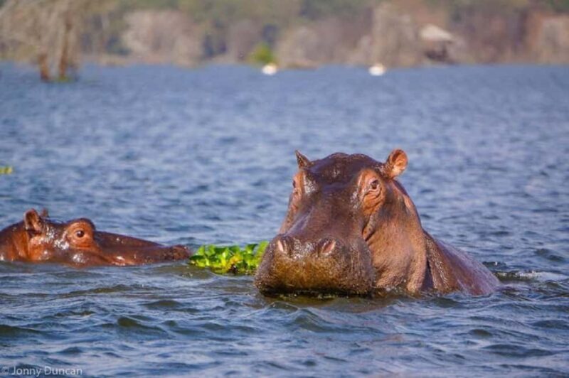 Day trip lake Naivasha and Hells gate - Final Thoughts