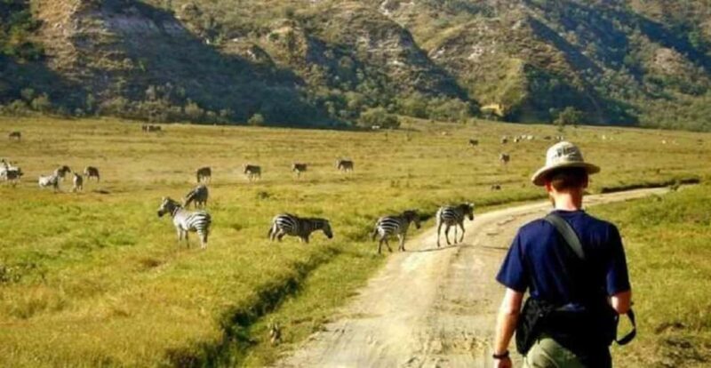 Day trip lake Naivasha and Hells gate - FAQ