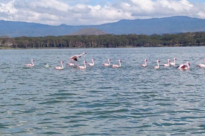 Day Trip - Lake Naivasha & Hell's Gate National Park From Nairobi - A Natural Escape from Nairobi