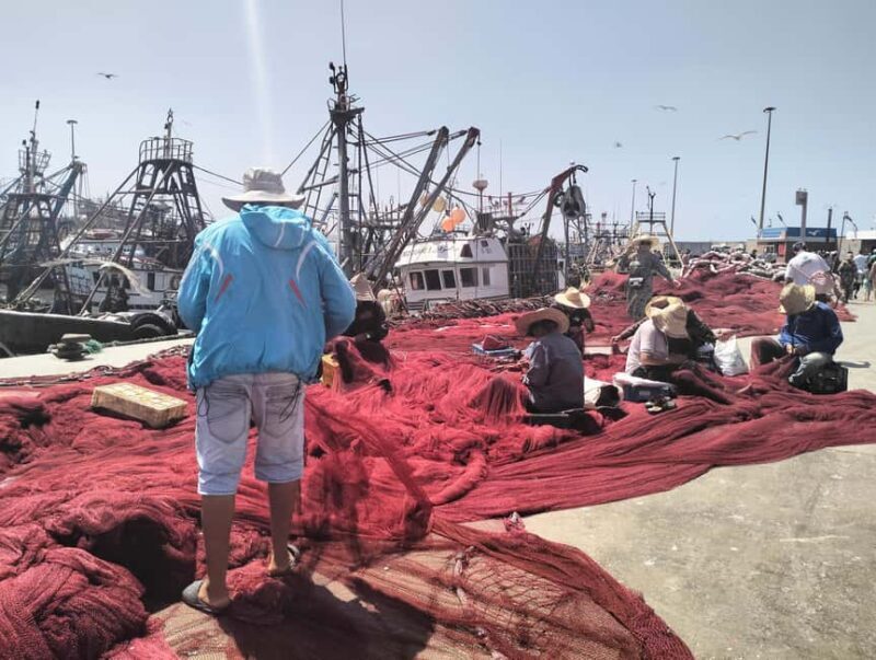 Day trip Marrakech to Essaouira - Food and Leisure in Essaouira