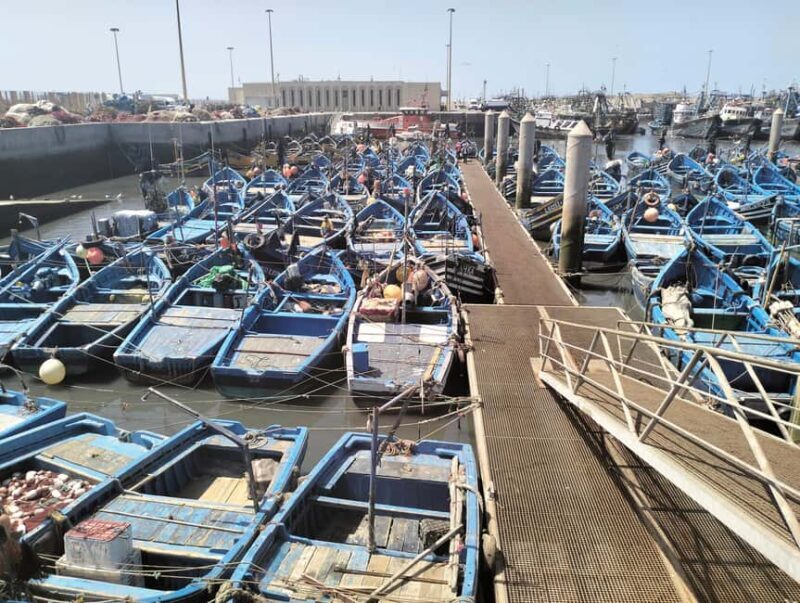 Day trip Marrakech to Essaouira - Final Thoughts: Who Is This Tour For?