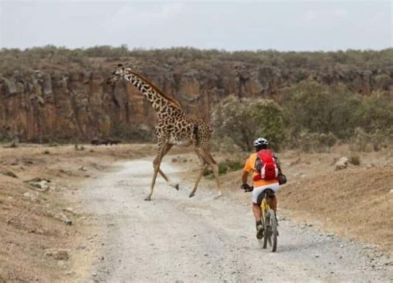 Day Trip Naivasha Hell's Gate Park, Horse Riding Sanctuary - Key Points