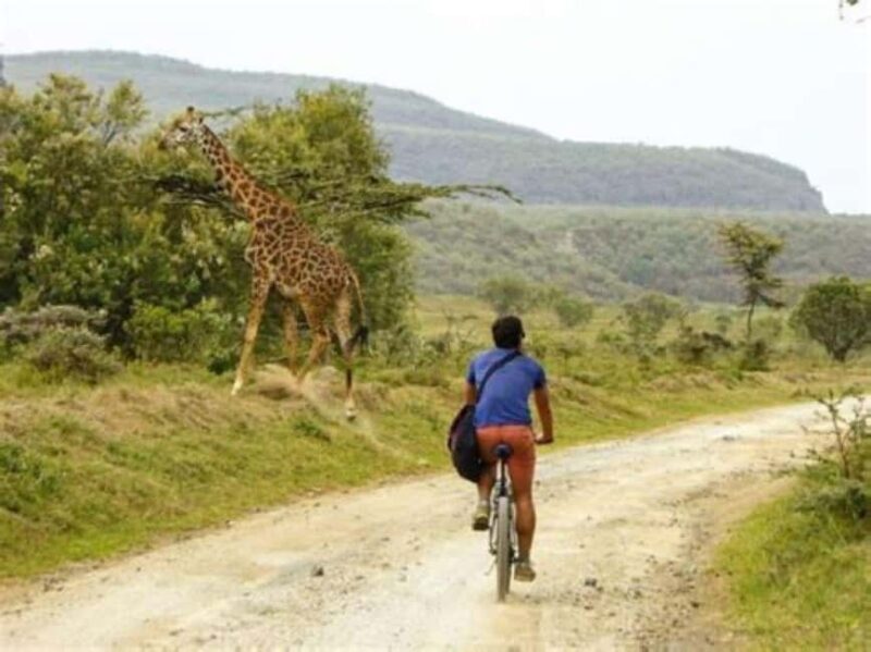 Day Trip Naivasha Hell's Gate Park, Horse Riding Sanctuary - Exploring Naivasha: A Well-Rounded Day Trip