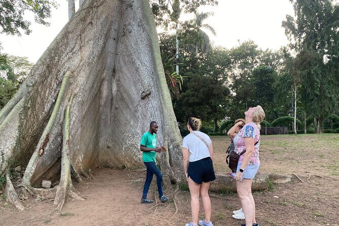 Day Trip Near Accra - Visit Aburi Gardens, Waterfall & Cocoa Farm - Exploring Aburi: A Perfect Day Out from Accra