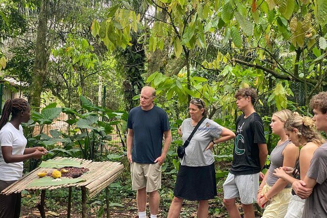 Day Trip Near Accra - Visit Aburi Gardens, Waterfall & Cocoa Farm - Key Points