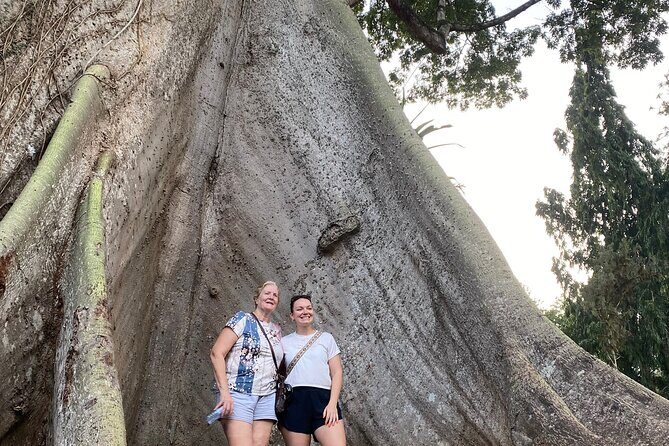 Day Trip Near Accra - Visit Aburi Gardens, Waterfall & Cocoa Farm - Final Thoughts