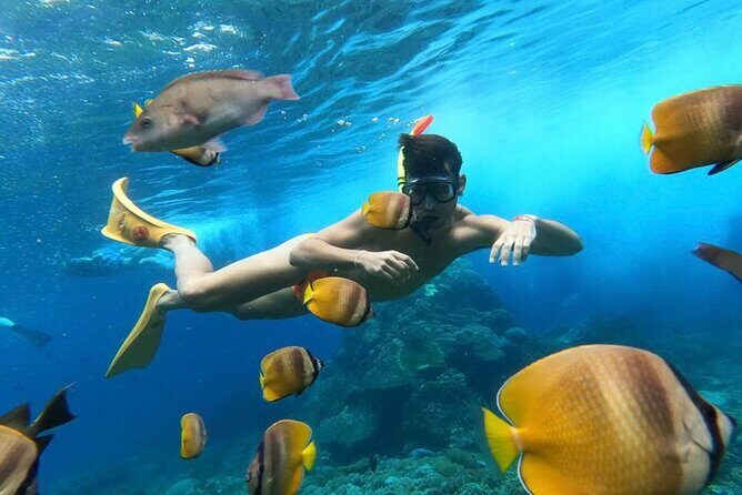 Day Trip: Nusa Penida Snorkling - What Reviewers Say: Authentic Insights