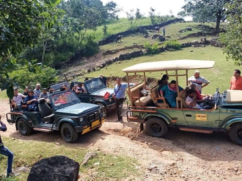 Day Trip Of Kumbhalgarh Fort & Wildlife Safari From Udaipur - Who Should Consider This Tour?