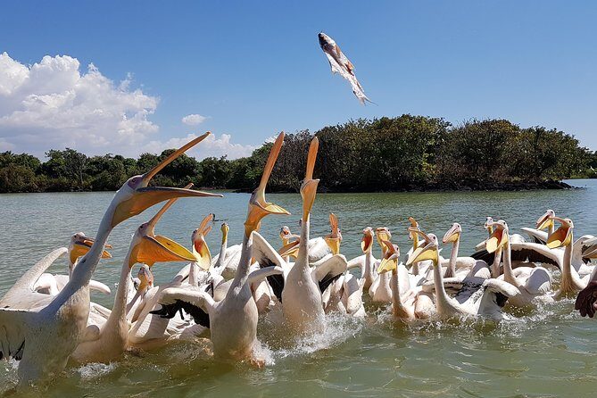 Day trip on Bahir dar. To visit lake tana monasteries and Blue Nile Falls. - Key Points