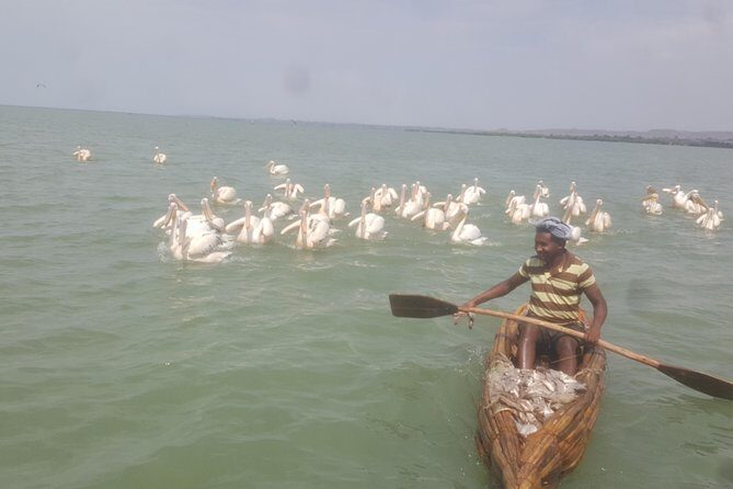Day trip on Bahir dar. To visit lake tana monasteries and Blue Nile Falls. - Deep Dive: The Itinerary Breakdown