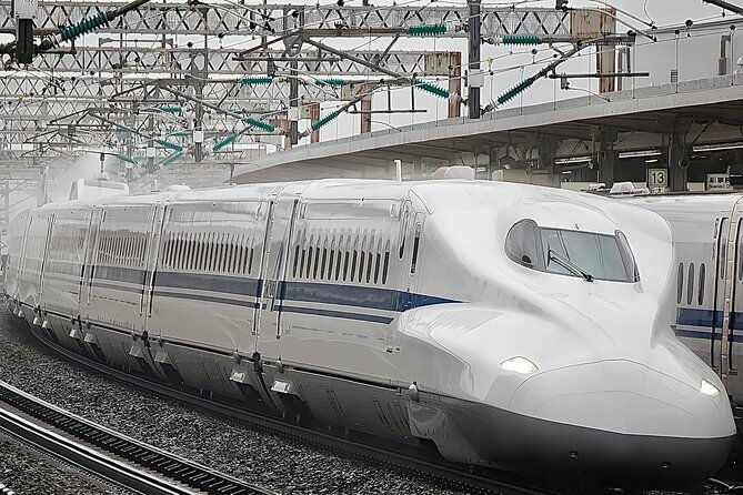 day-trip-osaka-from-tokyo-with-a-guide-by-bullet-train